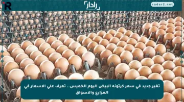 تغير جديد في سعر كرتونة البيض اليوم الخميس.. تعرف على الأسعار في المزارع والأسواق